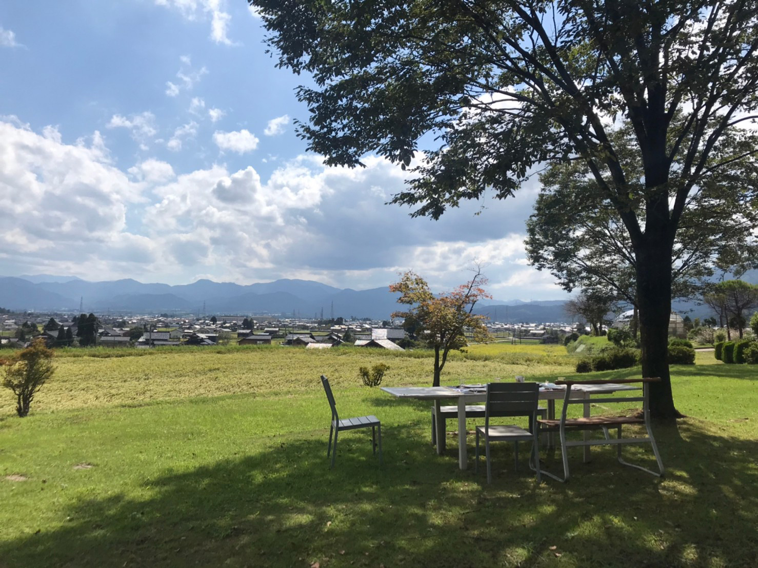 庭