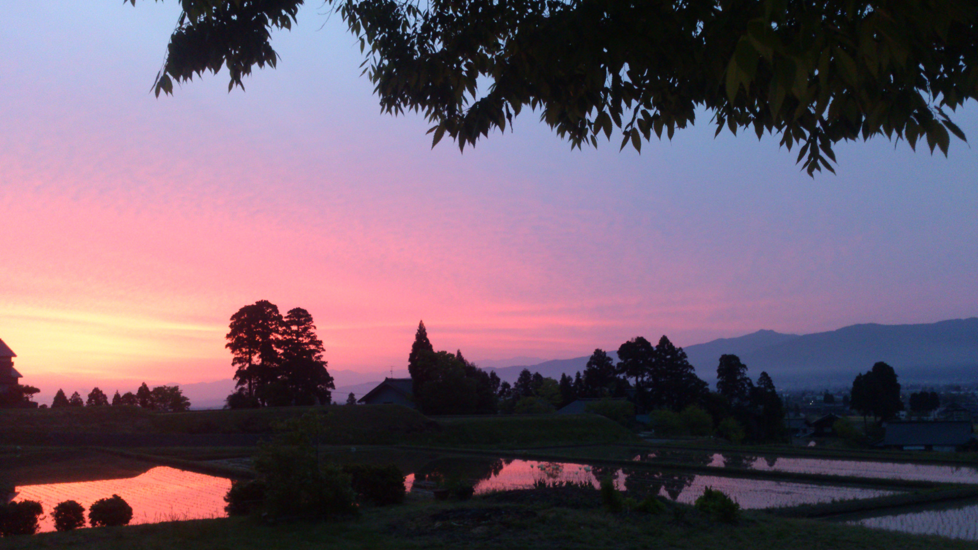 夕焼け